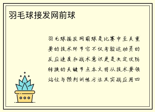 羽毛球接发网前球